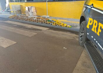 PRF apreende 100kg de drogas em caminhão