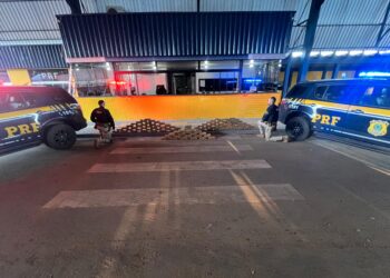 PRF apreende mais de 100 kg de maconha em caminhão na BR-364 PRF em Rondônia