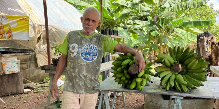 Emdur leva iluminação à Linha Progresso, zona rural de Porto Velho