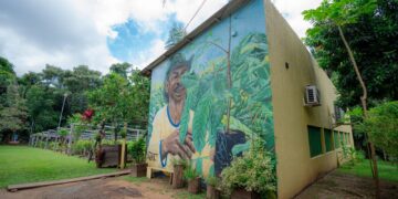 Distribuição gratuita de mudas de plantas reforça ações da Prefeitura para arborização urbana de Porto Velho