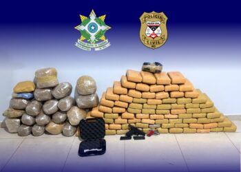 Ação conjunta da PM e PC apreende 104 quilos de drogas em RO
