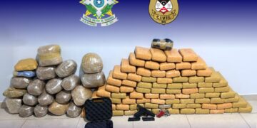 Ação conjunta da PM e PC apreende 104 quilos de drogas em RO
