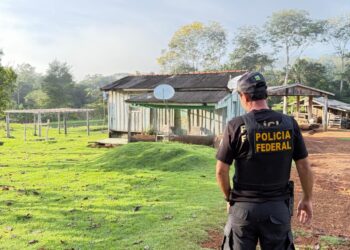 PF deflagra operação em combate a extração ilegal de madeira em Terras Indígenas