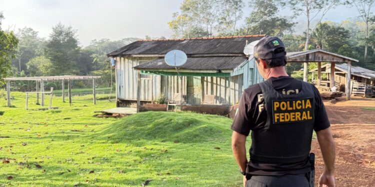 PF deflagra operação em combate a extração ilegal de madeira em Terras Indígenas