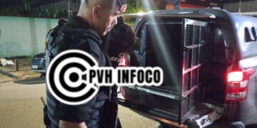 Foragido da Justiça é capturado após tentativa de fuga no bairro Pedrinhas