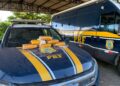 PRF apreende maconha com passageiro de ônibus em Ji-Paraná (RO)