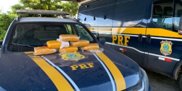 PRF apreende maconha com passageiro de ônibus em Ji-Paraná (RO)