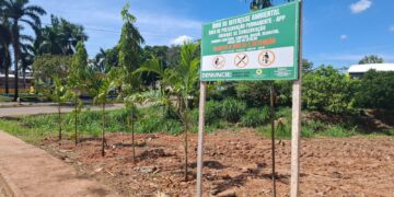 Ação integrada recupera área de preservação no bairro 4 de Janeiro