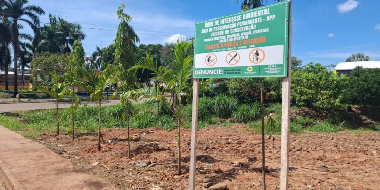 Ação integrada recupera área de preservação no bairro 4 de Janeiro