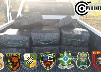 Operação integrada apreende 300 kg de cocaína em área de mata no Amazonas