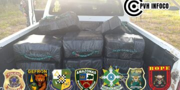 Operação integrada apreende 300 kg de cocaína em área de mata no Amazonas
