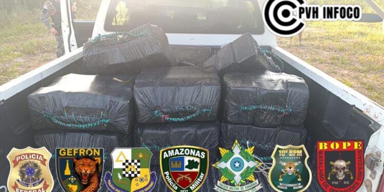 Operação integrada apreende 300 kg de cocaína em área de mata no Amazonas