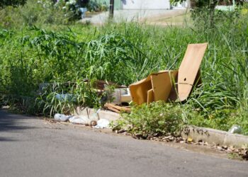 Prefeitura já notificou mais de 500 donos de terrenos abandonados em 2025