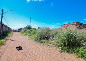 Mais de 500 notificações já foram emitidas este ano sobre terrenos abandonados