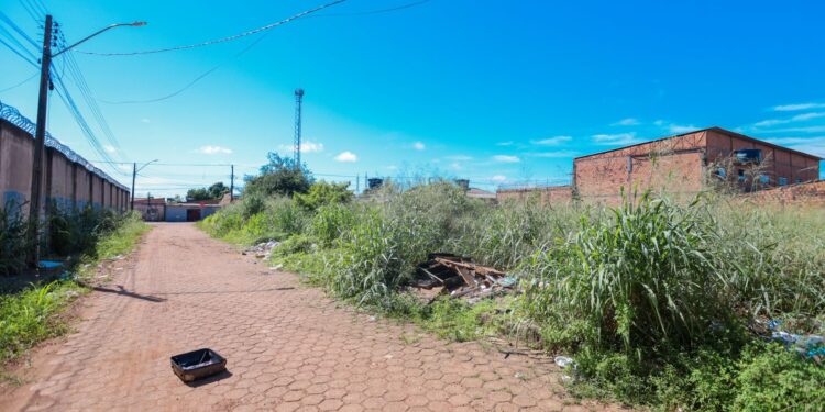 Mais de 500 notificações já foram emitidas este ano sobre terrenos abandonados