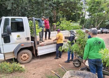 Mais de 136 toneladas de alimentos são transportados pela Prefeitura em apoio aos produtores rurais de Porto Velho