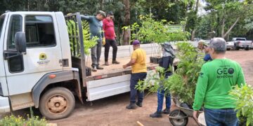 Mais de 136 toneladas de alimentos são transportados pela Prefeitura em apoio aos produtores rurais de Porto Velho