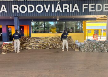 PRF realiza maior apreensão de drogas de sua história em Rondônia