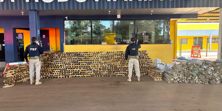 PRF realiza maior apreensão de drogas de sua história em Rondônia