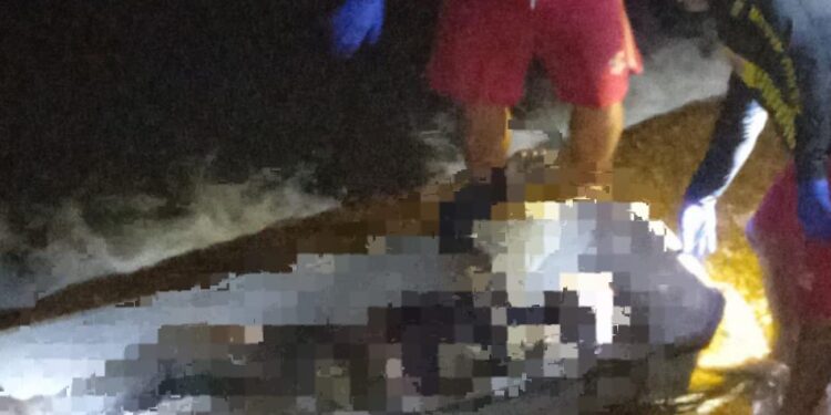 Homem é encontrado morto em igarapé após noite de bebedeira, caso é um mistério