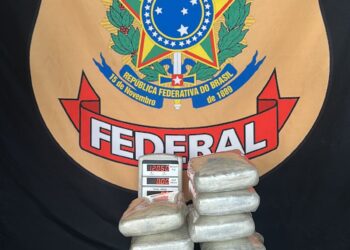 Polícia Federal apreende 24 kg de skunk no Aeroporto Internacional Jorge Teixeira