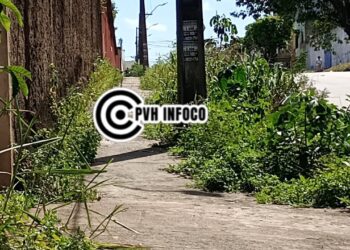 Estudantes Denunciam Insegurança e Mato Tomando Conta de Calçada no Bairro Santa Bárbara