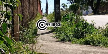Estudantes Denunciam Insegurança e Mato Tomando Conta de Calçada no Bairro Santa Bárbara