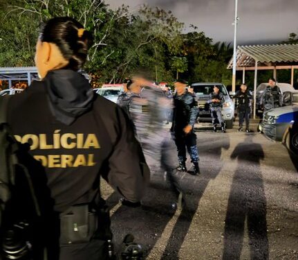 FICCO/RO deflagra operação contra grupo criminoso especializado no furto de grãos em Porto Velho/RO