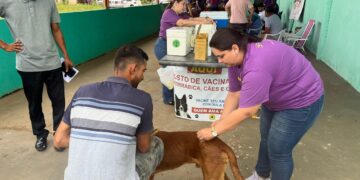 LEVE SEU PET: Vacinação antirrábica continua na capital com atendimento ampliado