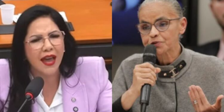 Deputada federal Cristiane Lopes critica ministra do meio ambiente em audiência de comissão e cobra fim de embargos