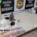 Denarc prende traficante com drogas e carregador de pistola na Vila Dnit em Porto Velho
