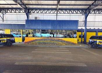 PRF apreende mais de uma tonelada de maconha em caminhão durante fiscalização na BR-364