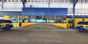 PRF apreende mais de uma tonelada de maconha em caminhão durante fiscalização na BR-364