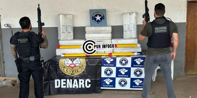 Operação Protetor: DENARC e Receita Federal apreendem 350 kg de skunk em carreta na BR-319