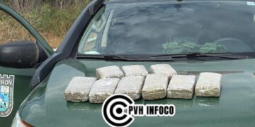 PM apreende 12 kg de maconha na BR-364 e causa prejuízo de mais de R$ 67 mil ao tráfico