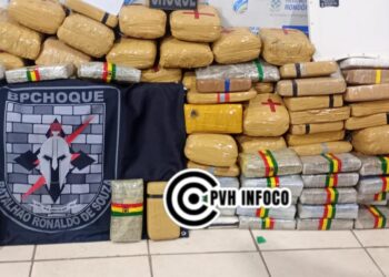 Apreensão de mais de 280 kg de drogas em operação conjunta na Vila Princesa