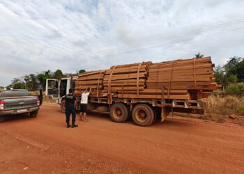 🚨 PF deflagra Operação Traidores Originários contra extração ilegal de madeira na Terra Indígena Roosevelt em RO