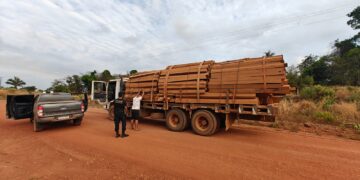 🚨 PF deflagra Operação Traidores Originários contra extração ilegal de madeira na Terra Indígena Roosevelt em RO