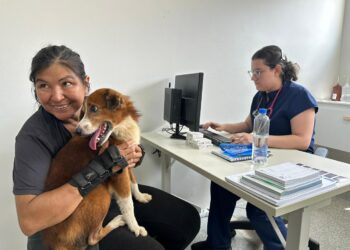 Clínica de Bem-Estar Animal é inaugurada em Porto Velho e se torna sucesso entre tutores no primeiro dia