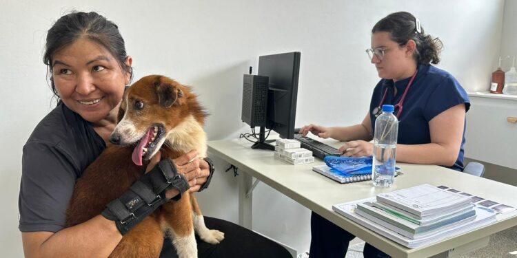 Clínica de Bem-Estar Animal é inaugurada em Porto Velho e se torna sucesso entre tutores no primeiro dia