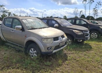 Detran-RO abre leilões com mais de 500 veículos disponíveis em todo o estado