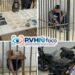 🚨 Policial militar reage a tentativa de assalto e suspeito menor é apreendido após troca de tiros em residência